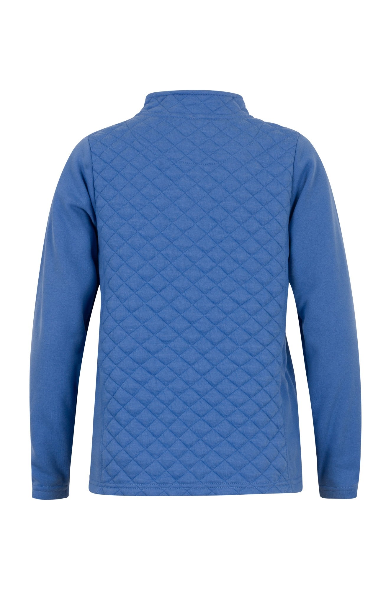 2255B1|DELFT BLUE