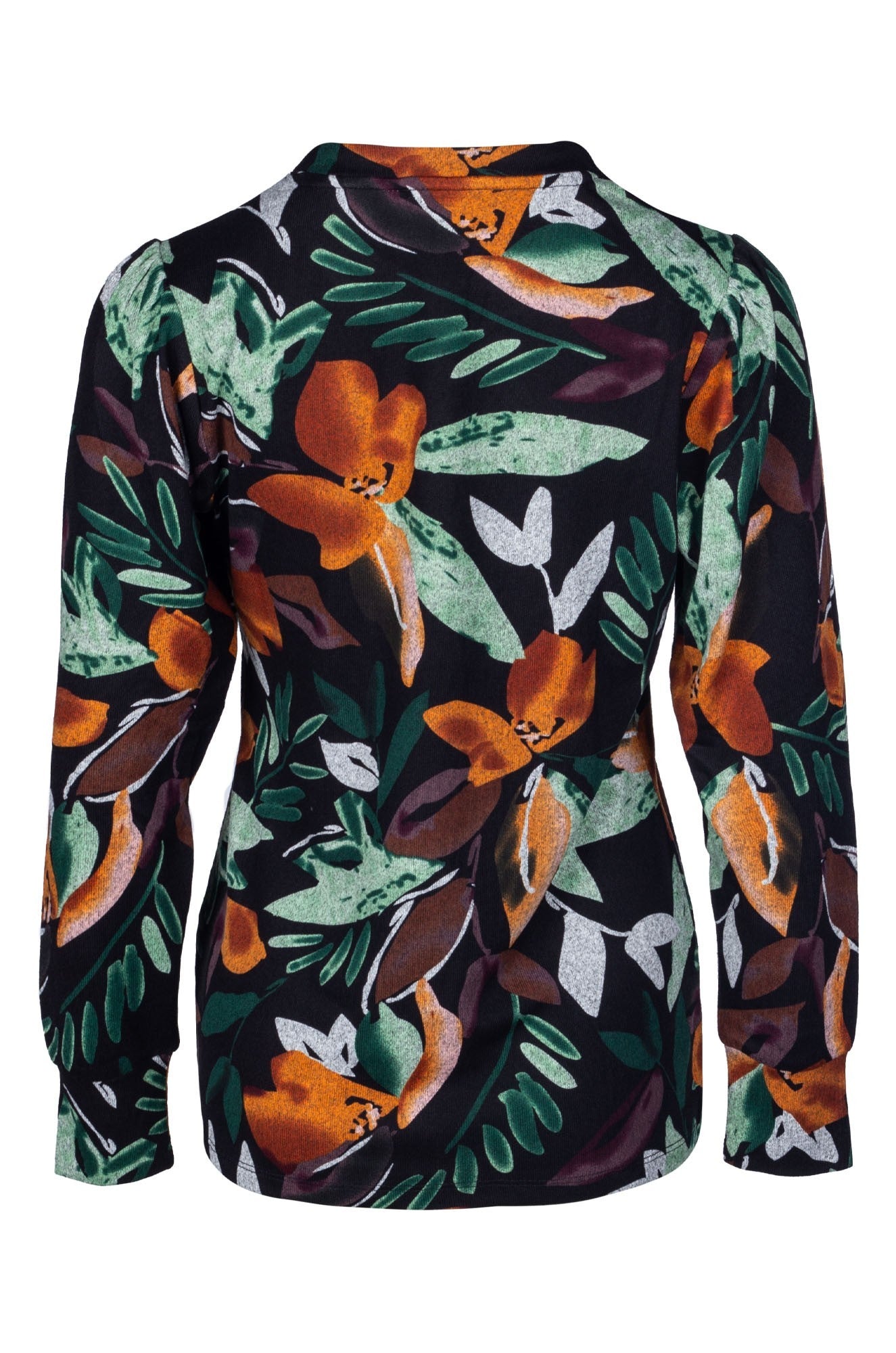 7903B1|GREEN BLACK FERN