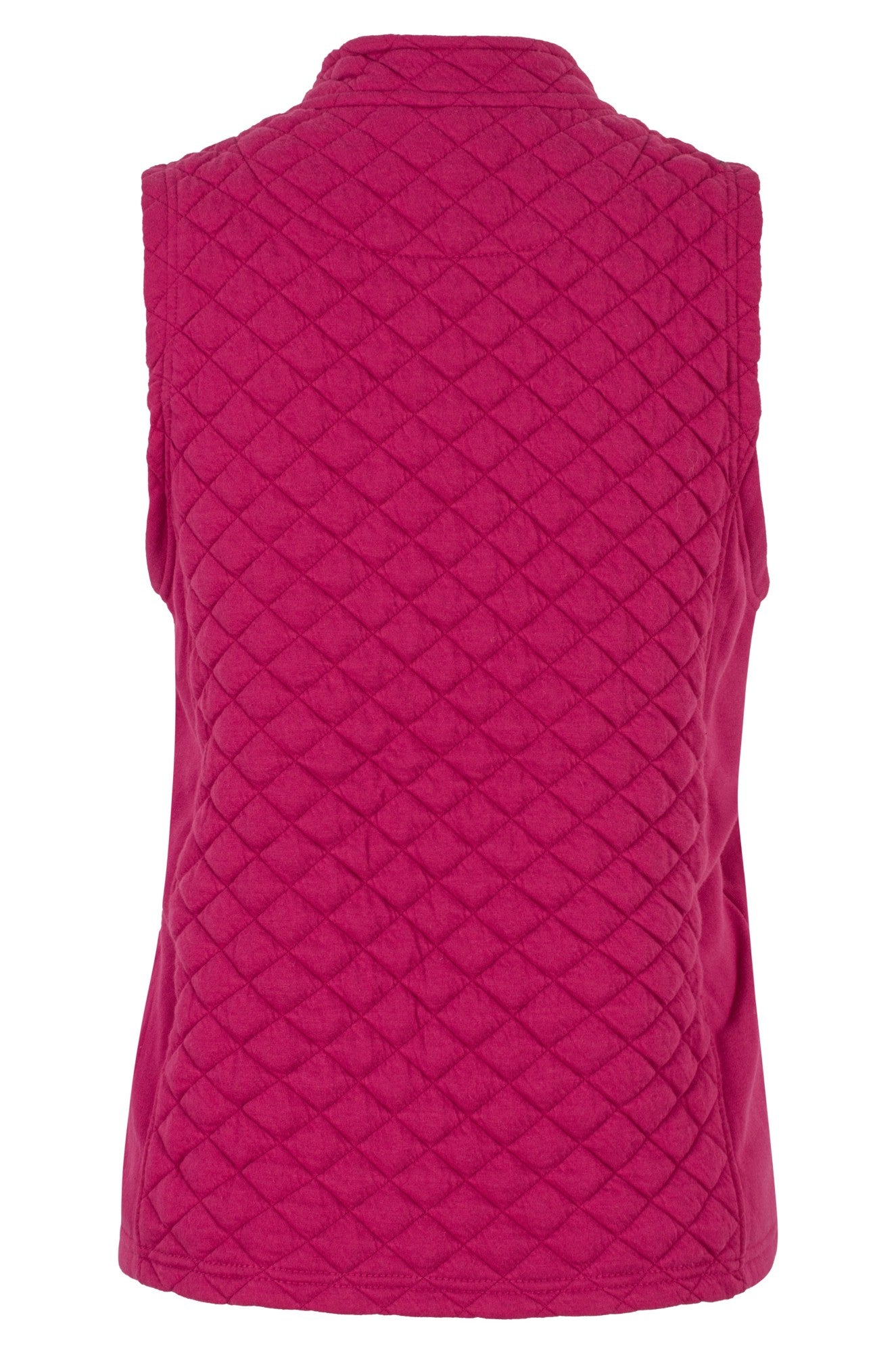 2254B1|RASPBERRY