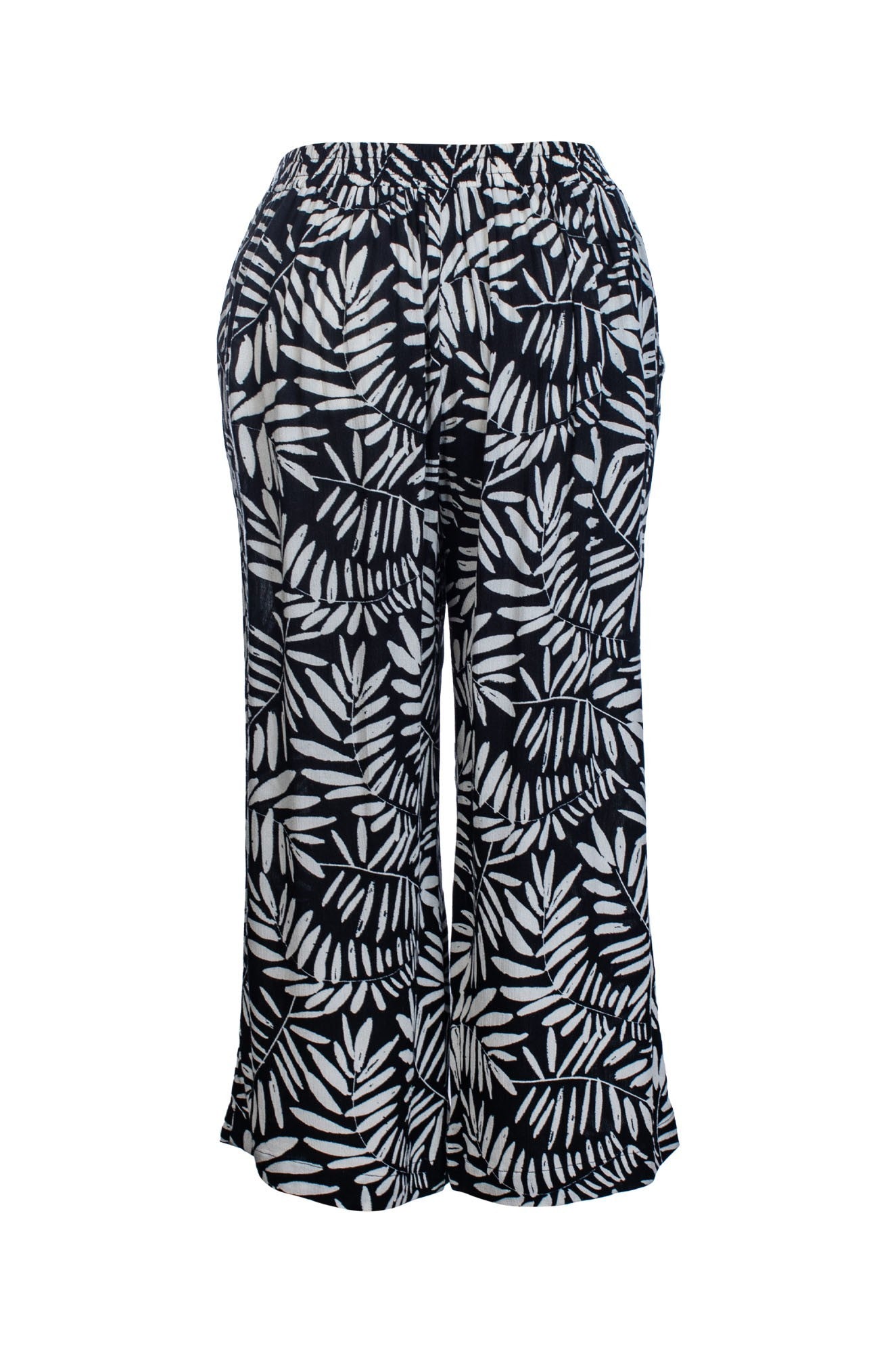 3388C1|BLACK SAND PALM