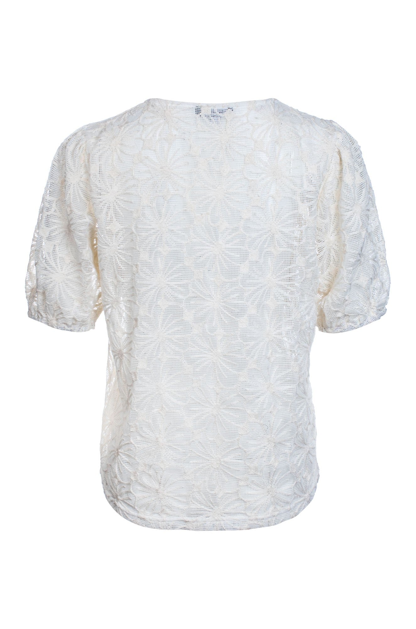 4581C1|PARCHMENT