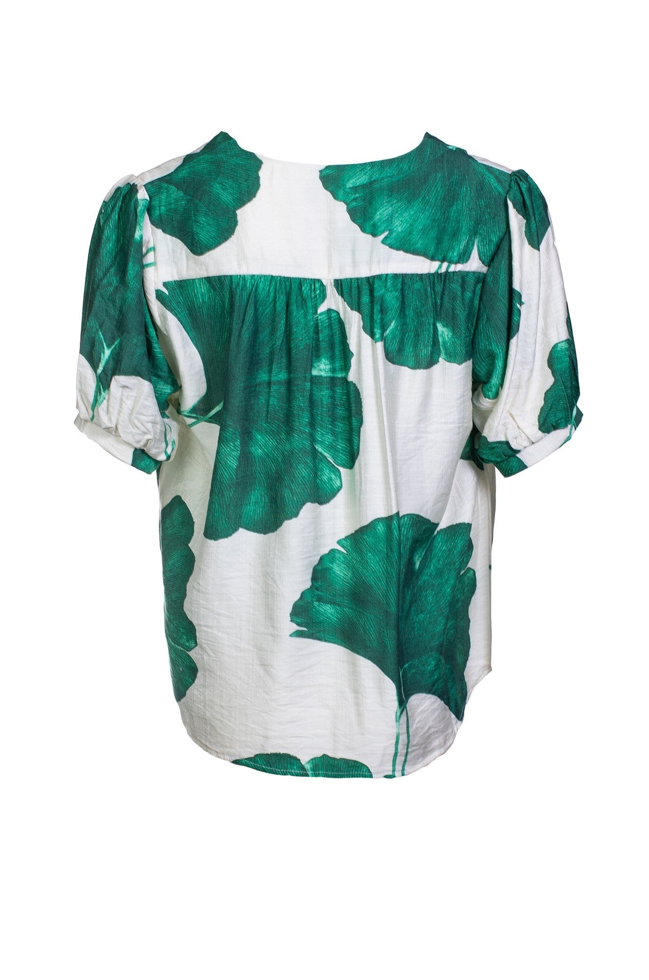 7661C1|GREEN IVORY PALM