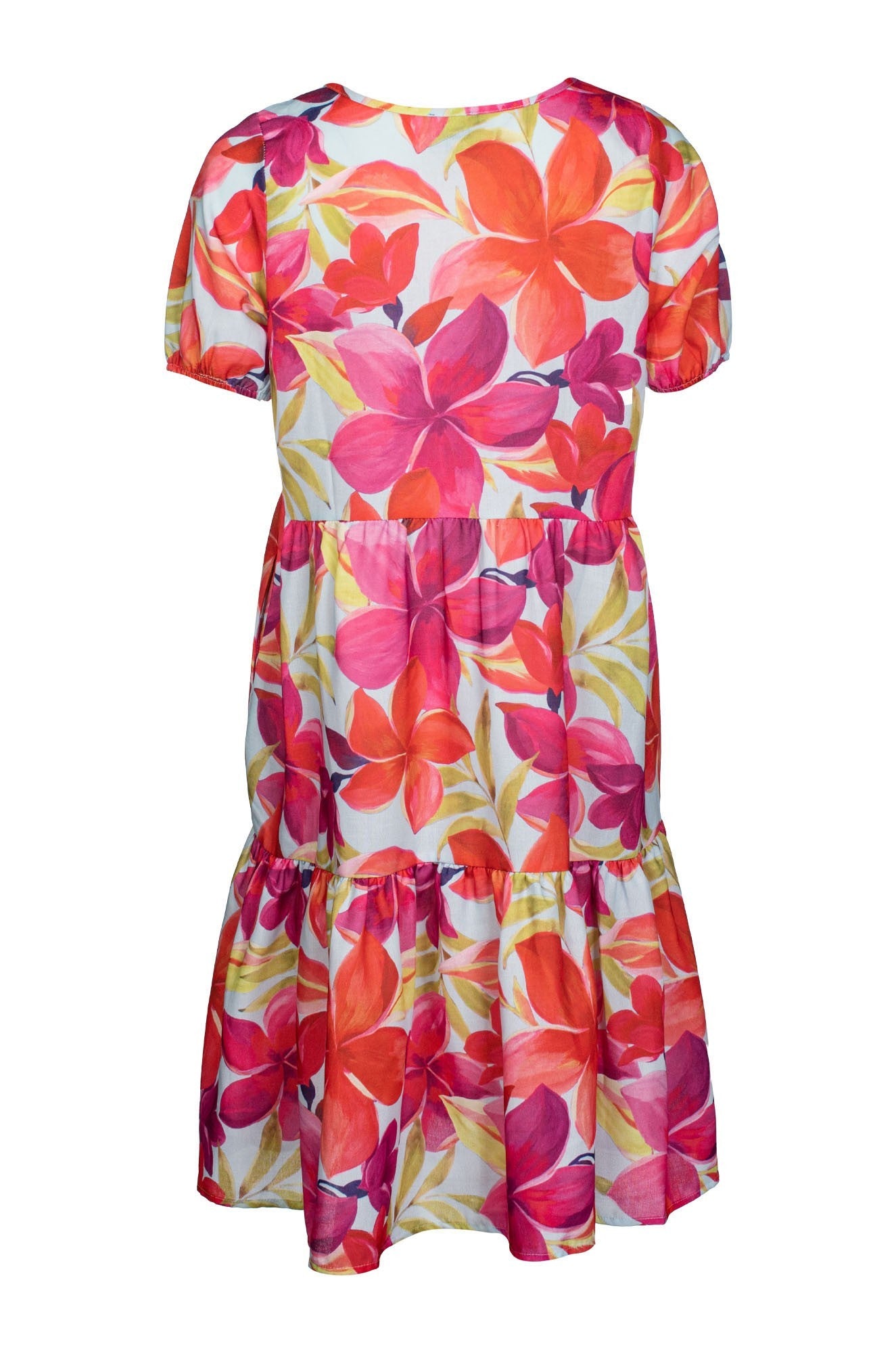 7382C1|RED SKY HIBISCUS