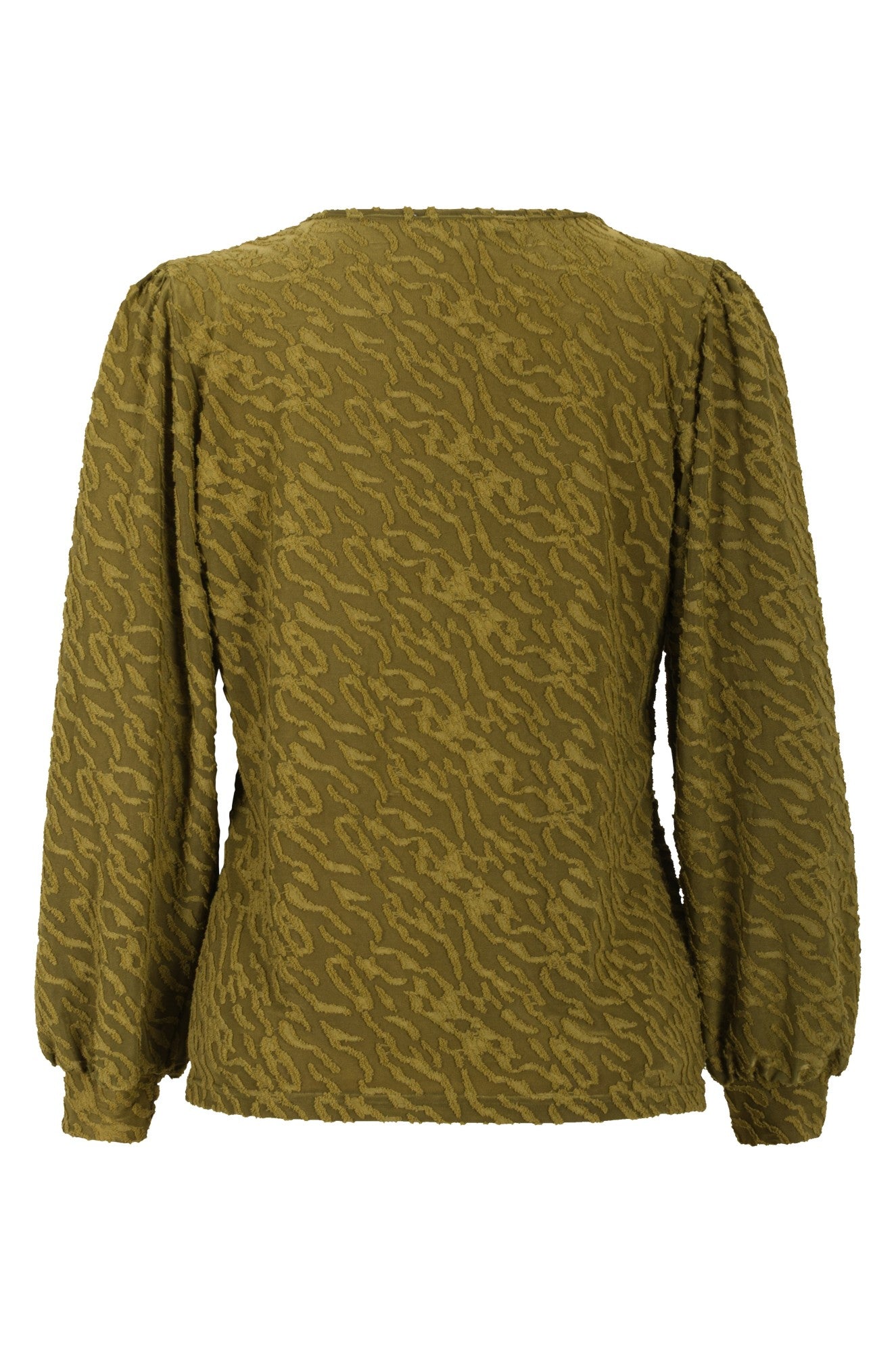 0031B1|OLIVE