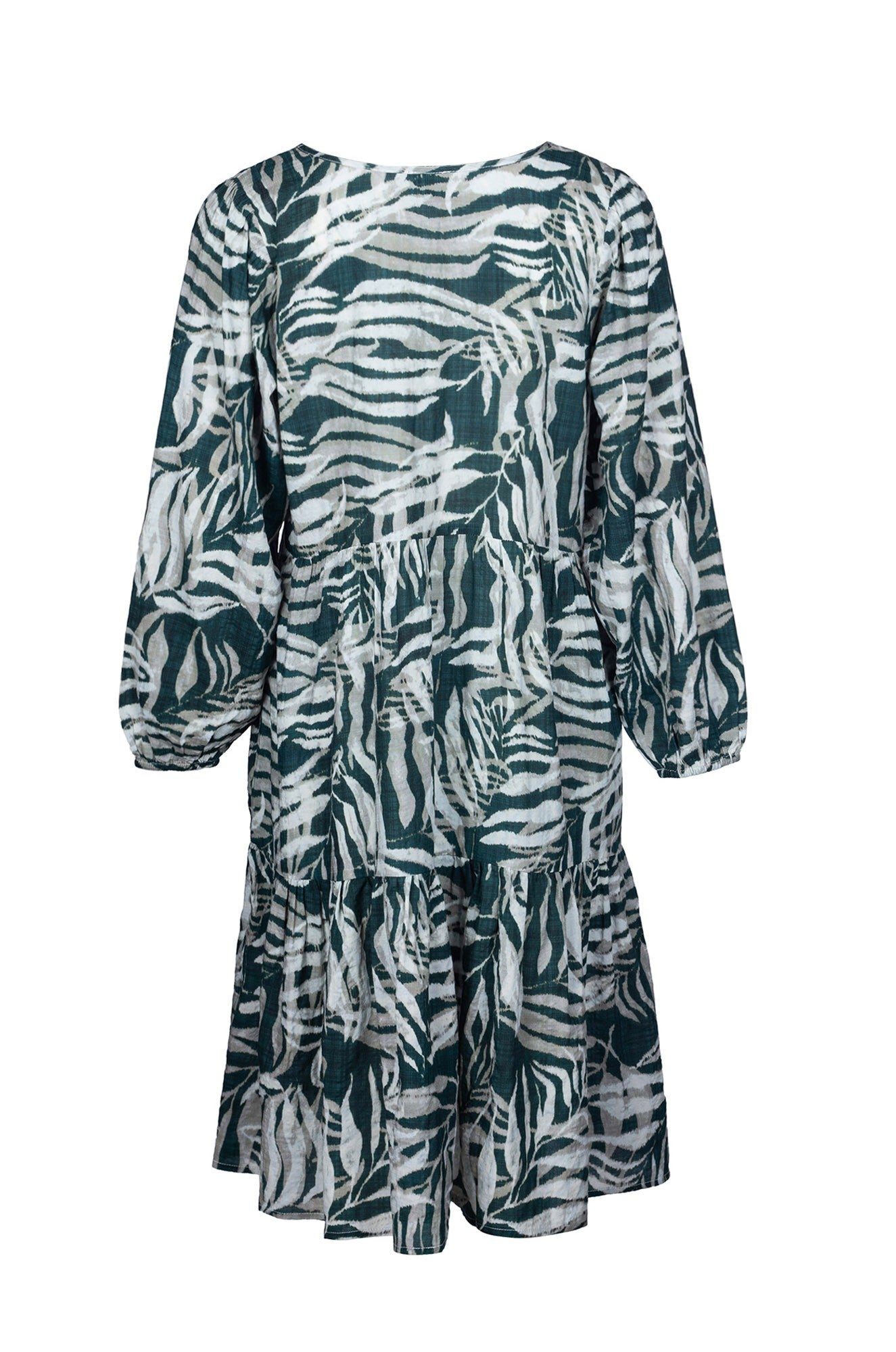 6536B1|FOREST FERN