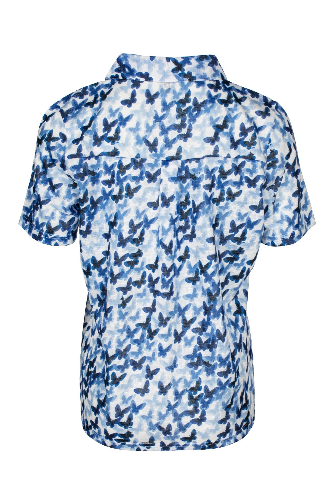 6803C1|BLUE BUTTERFLIES