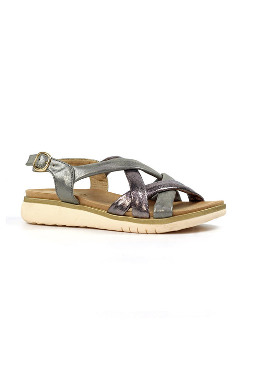 ROMA C1|PEWTER