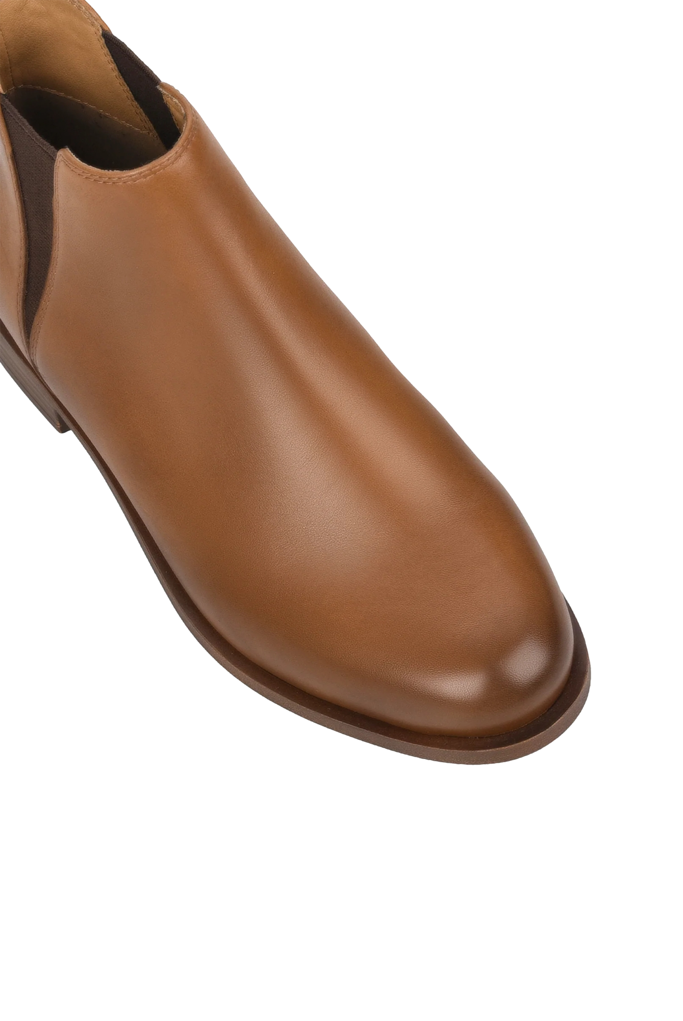 NUTMEG D1|TAN