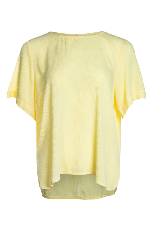 3391C1|LEMON