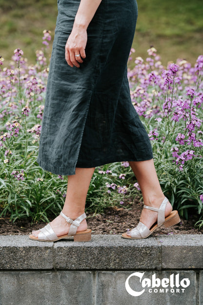 YENICE C1|TAUPE SHIMMER