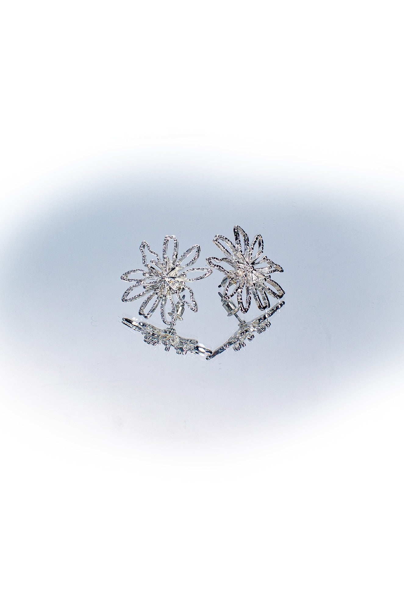 0225C1|SILVER