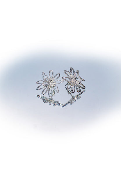 0225C1|SILVER