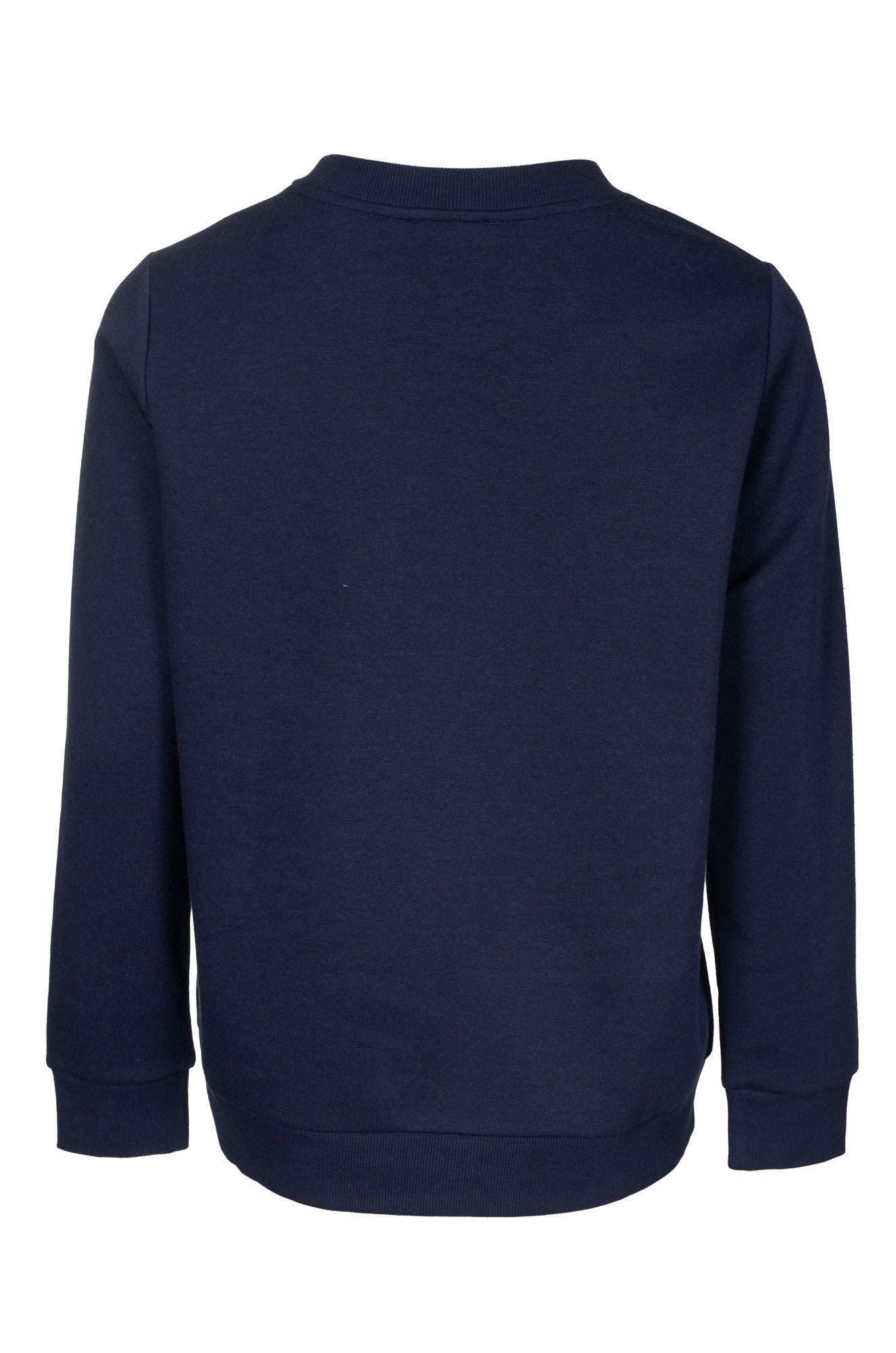 3391B1|SILVER LADY ON NAVY