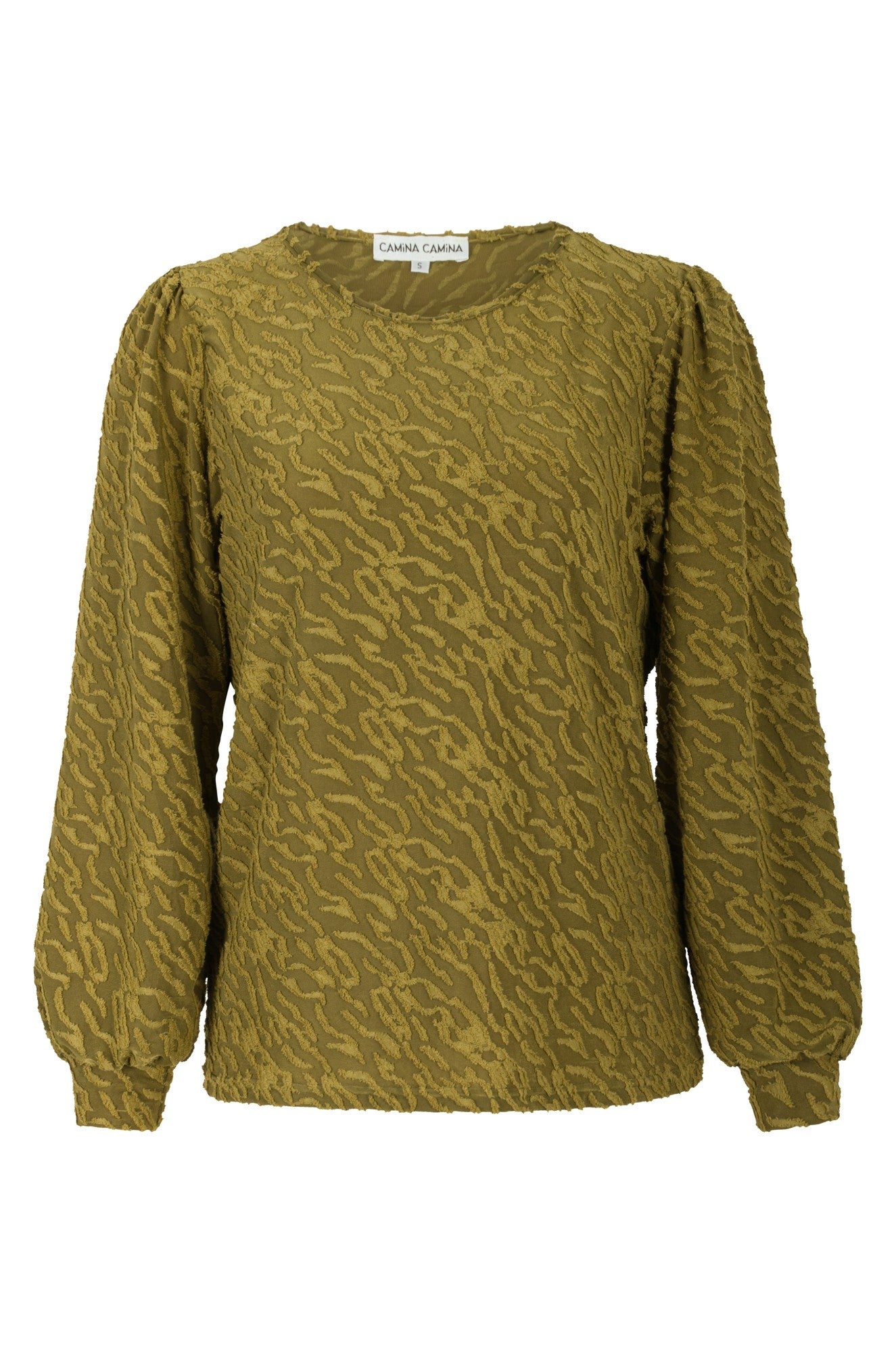 0031B1|OLIVE