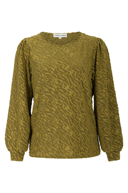 0031B1|OLIVE