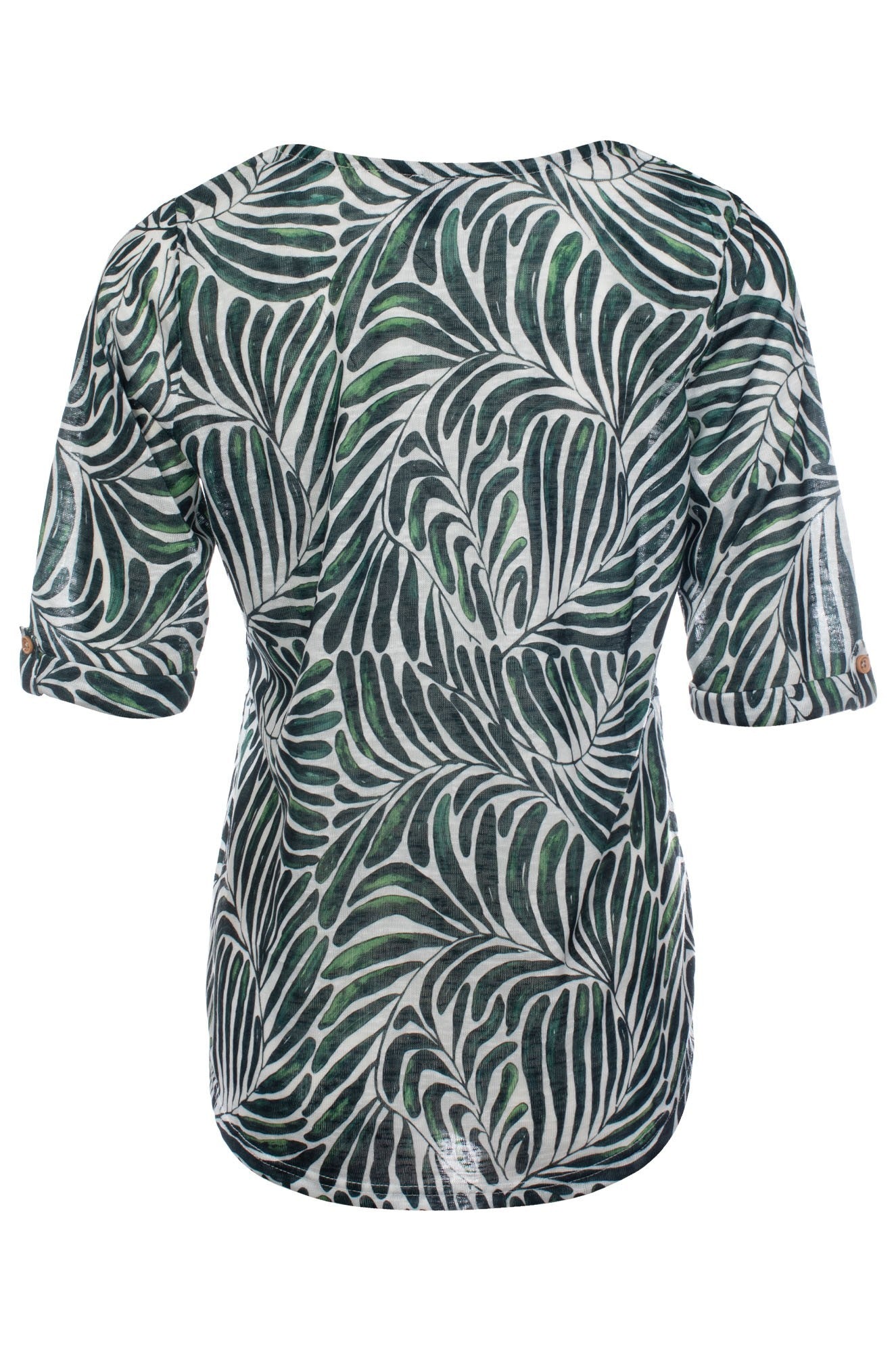 6807C1|OLIVE FERNS