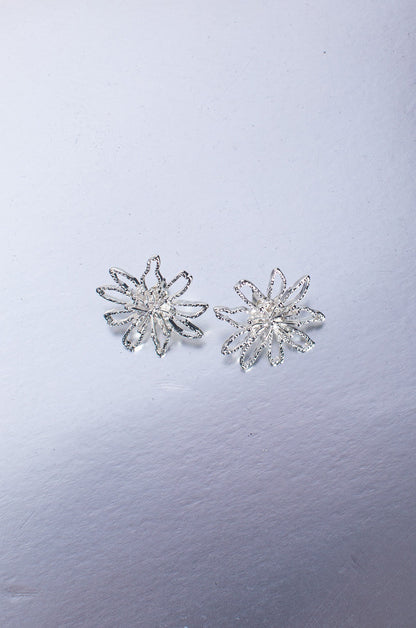 0225C1|SILVER