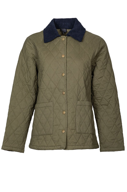 6441D1|OLIVE