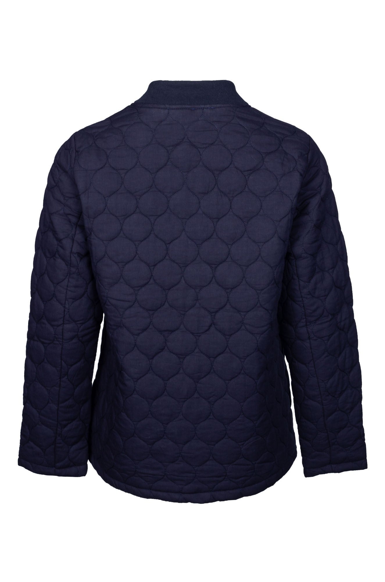 6441B1|NAVY