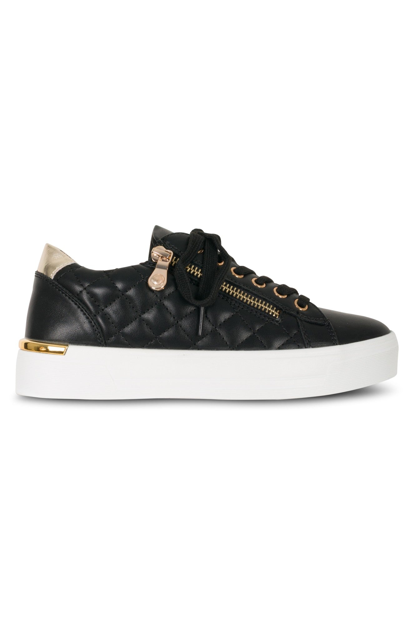 XENON B1|BLACK