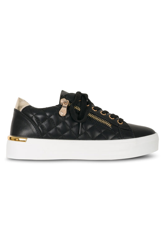 XENON B1|BLACK