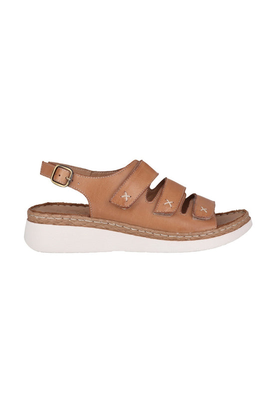 COAST C1|TAN
