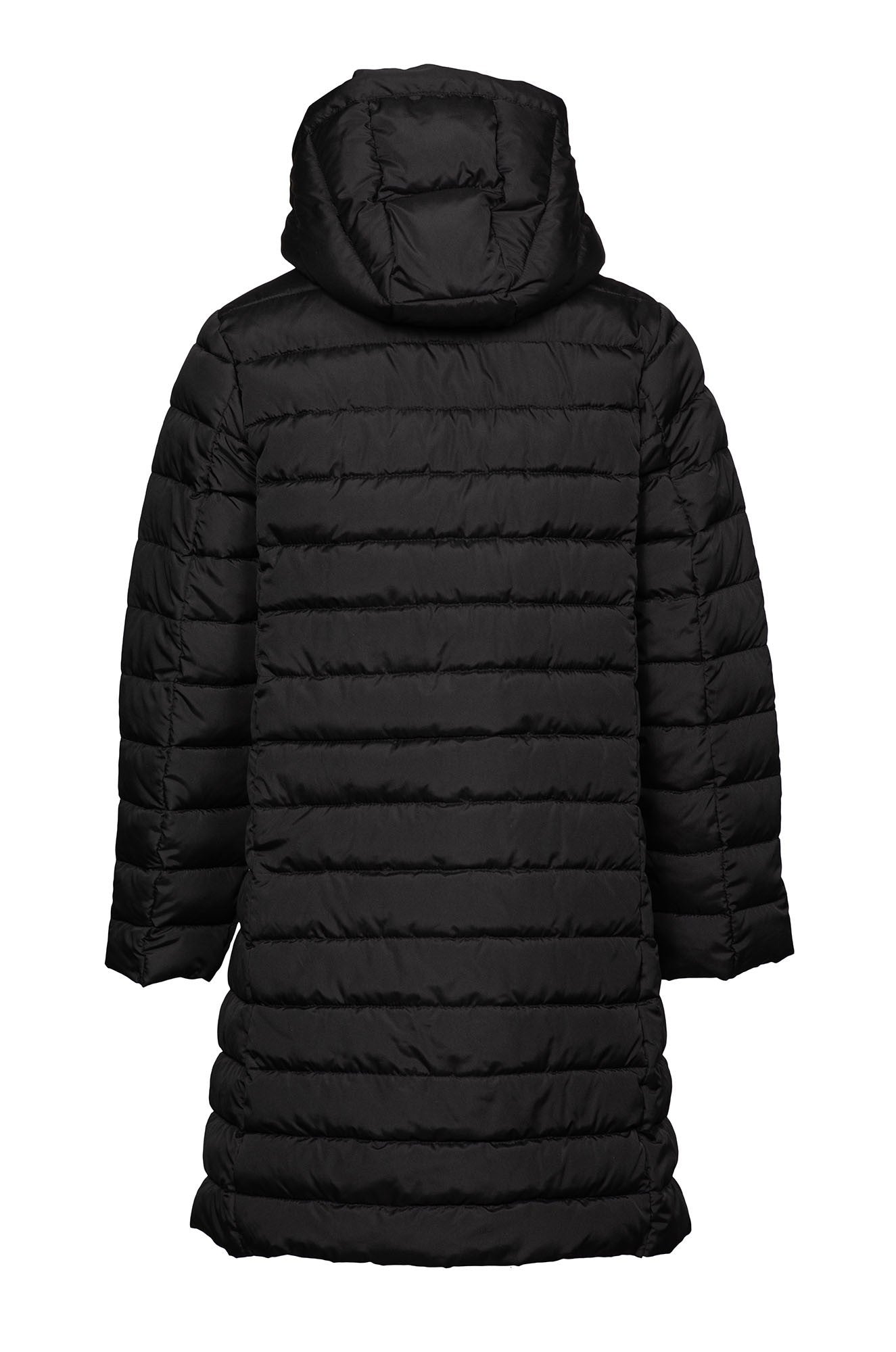 2442D1|BLACK