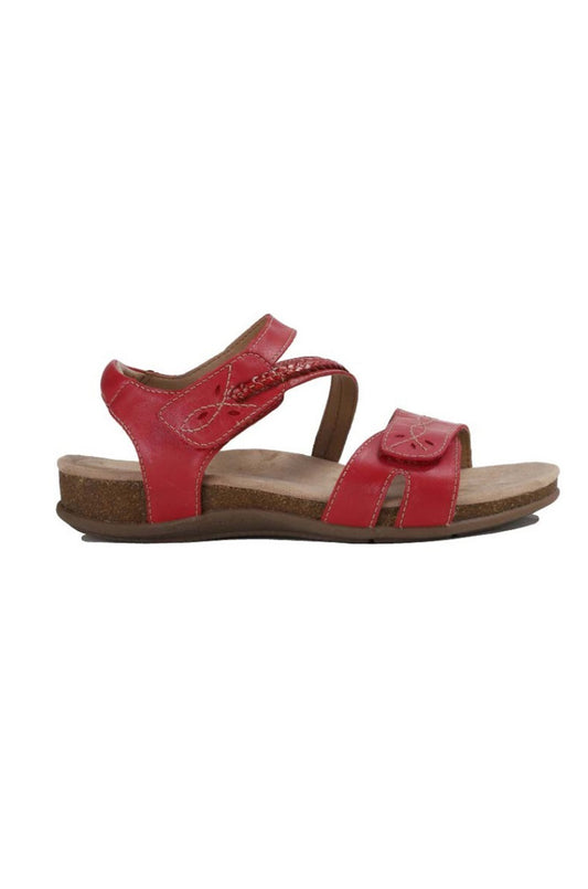 FERRO C1|RED