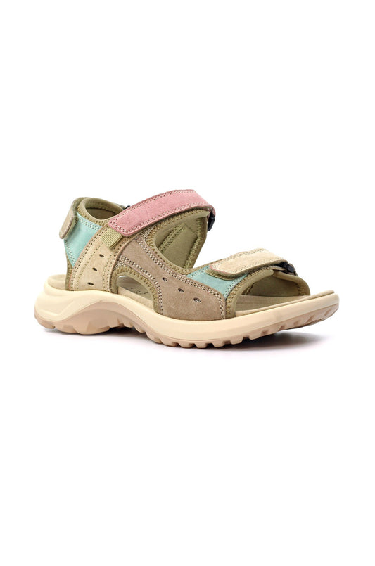 ALSTON C1|MULTI
