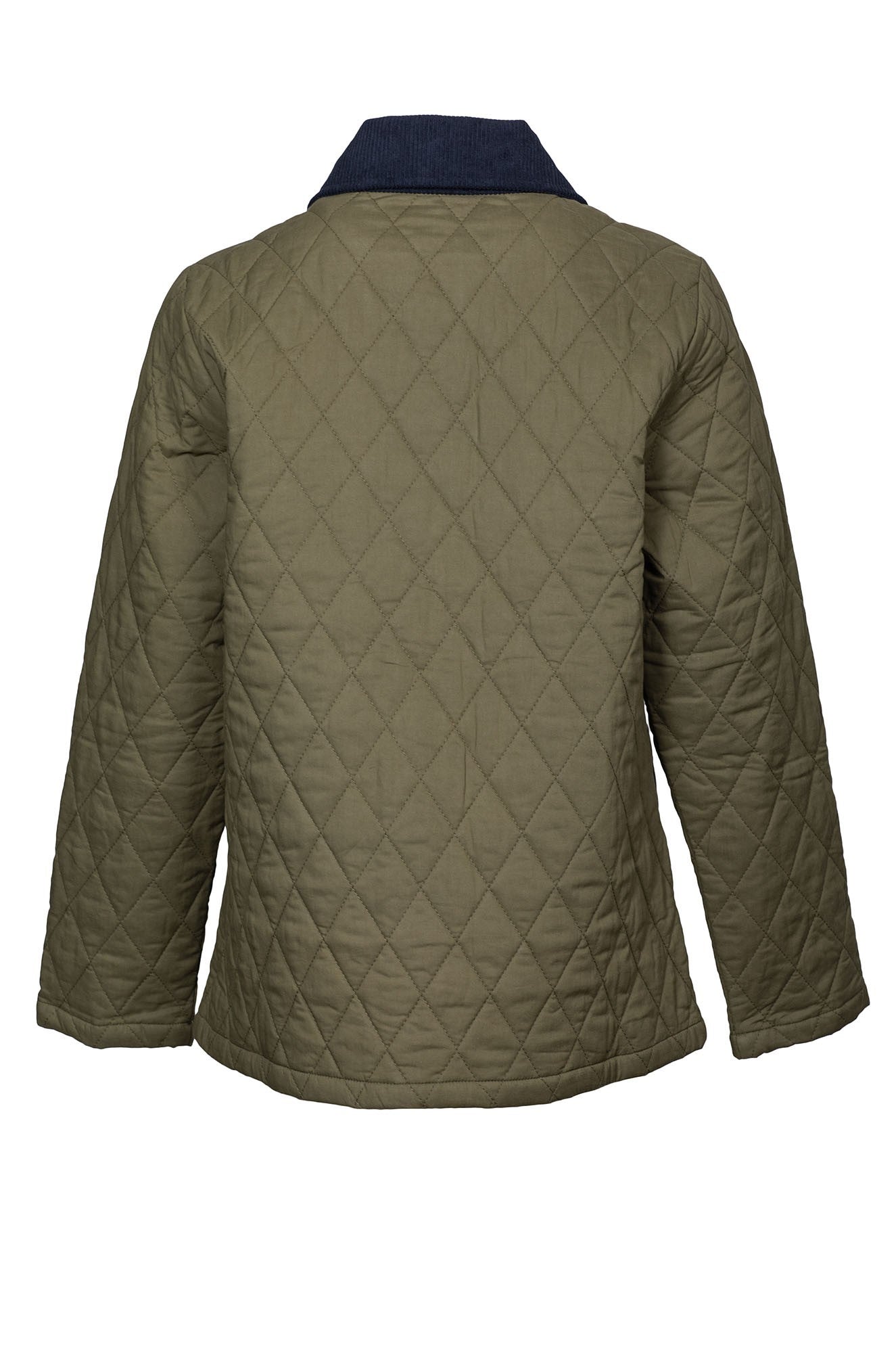 6441D1|OLIVE
