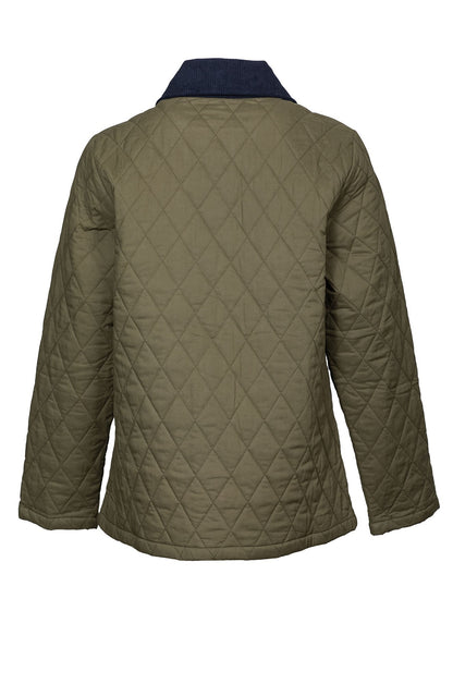 6441D1|OLIVE