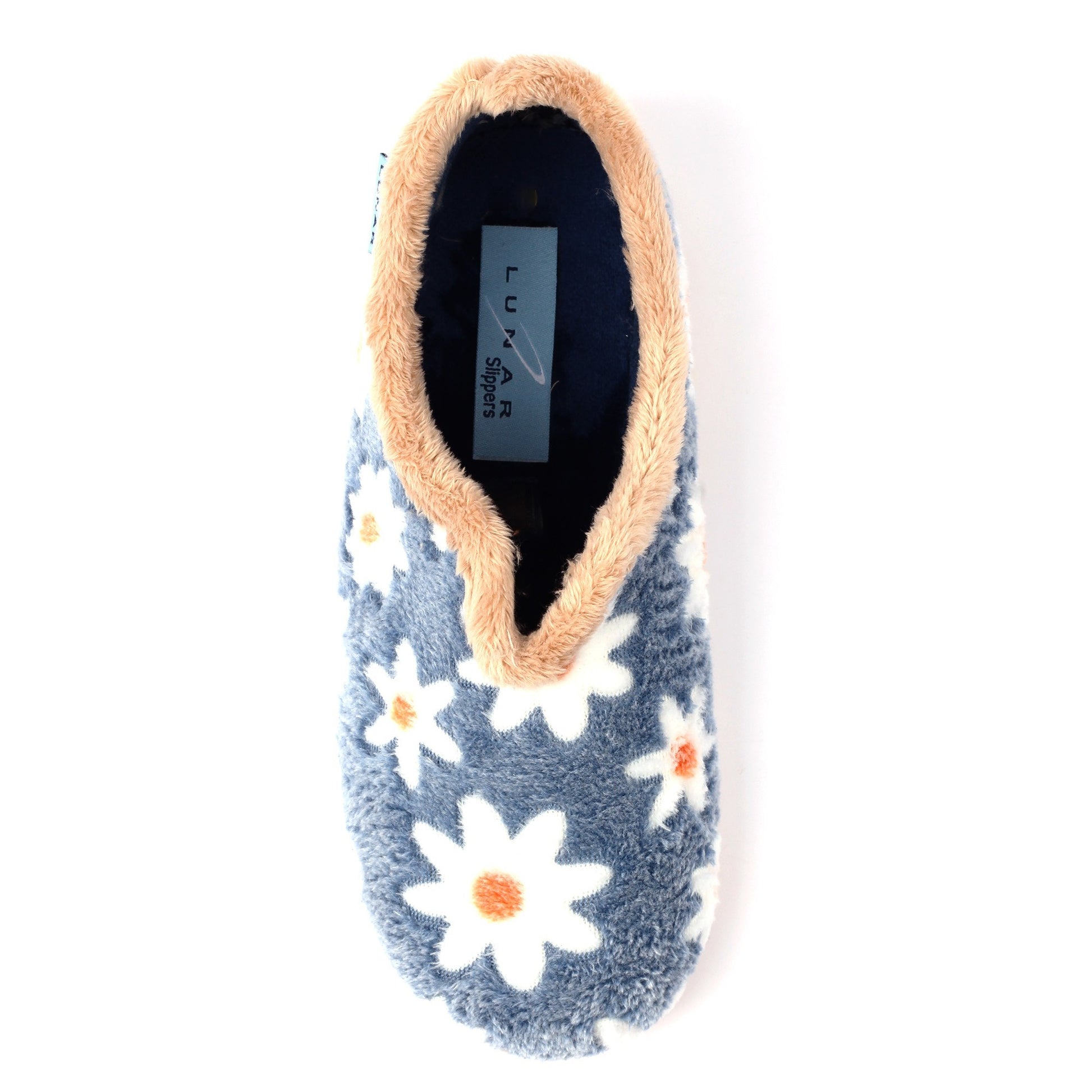 DAISY D1|BLUE