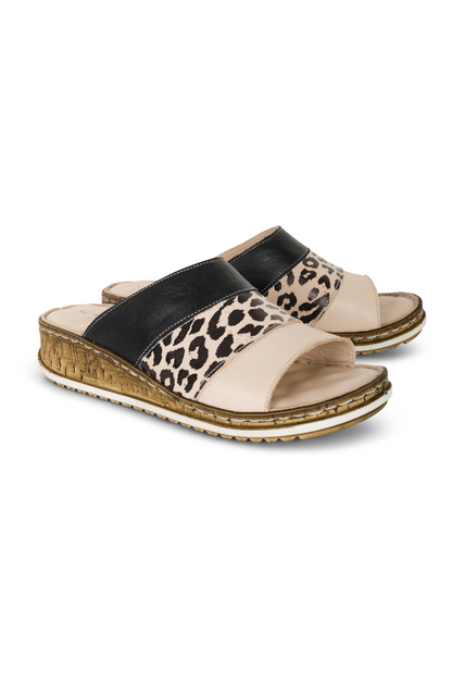 APPLEBY YY|OCELOT