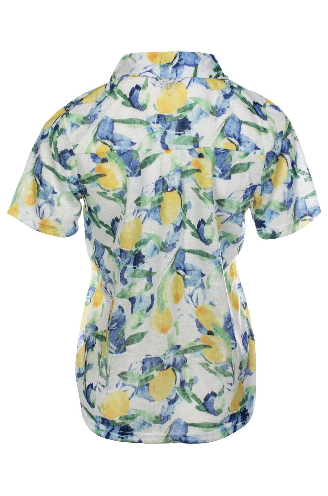 6804C1|LEMON CELLO