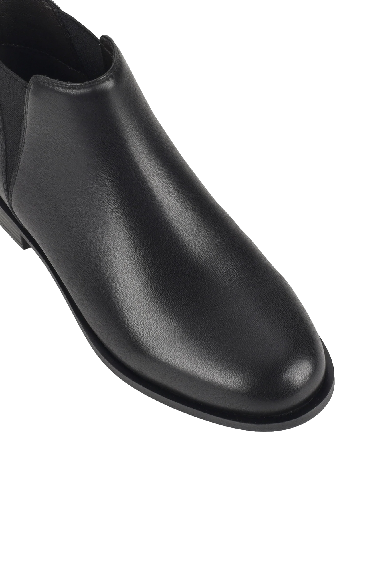 NUTMEG D1|BLACK