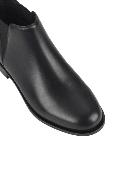 NUTMEG D1|BLACK