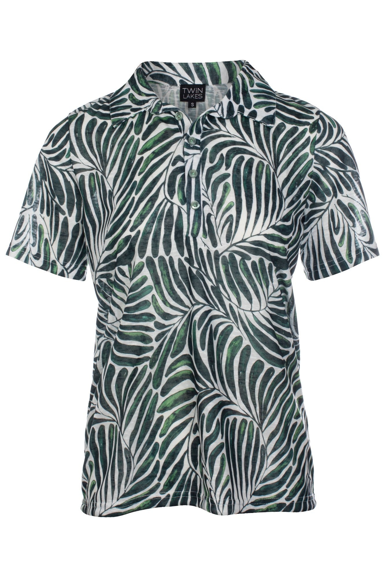 6804C1|OLIVE FERNS