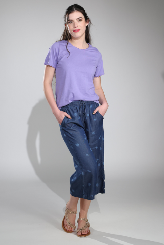 6643C1|CHALK DAISY