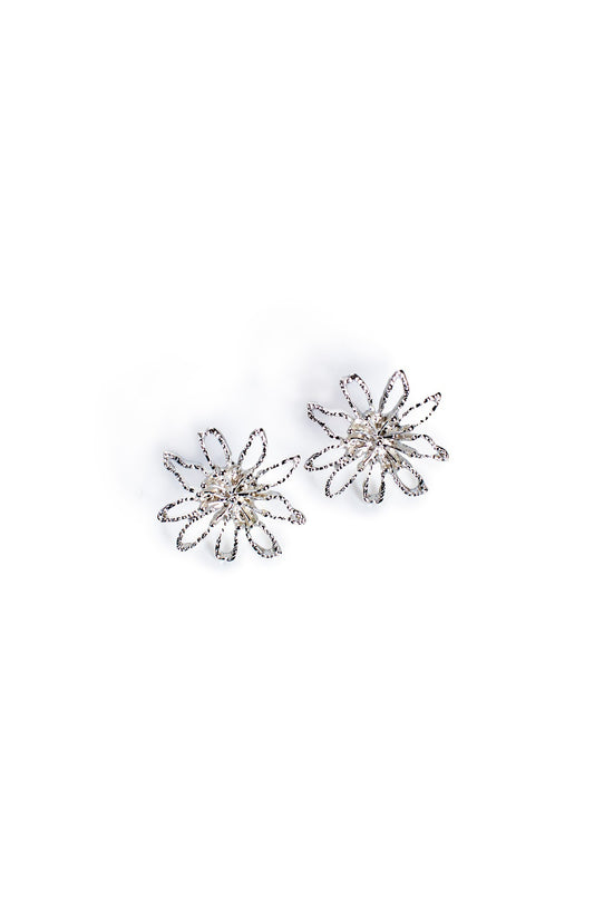 0225C1|SILVER