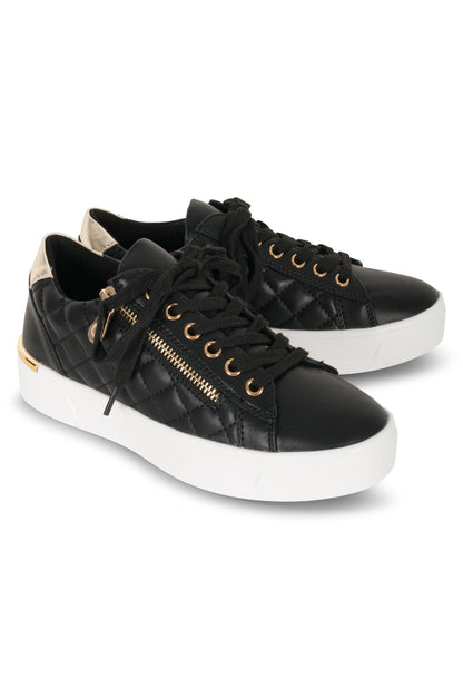 XENON B1|BLACK